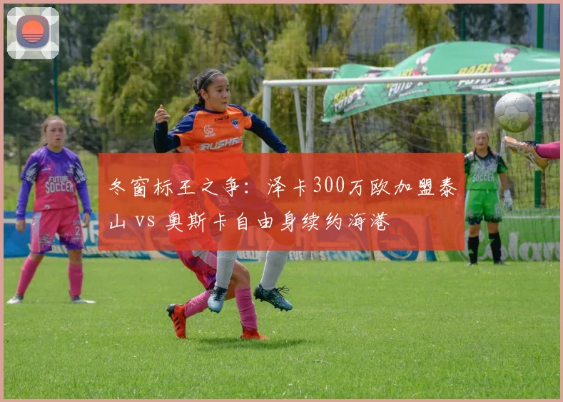 冬窗标王之争:泽卡300万欧加盟泰山 vs 奥斯卡自由身续约海港